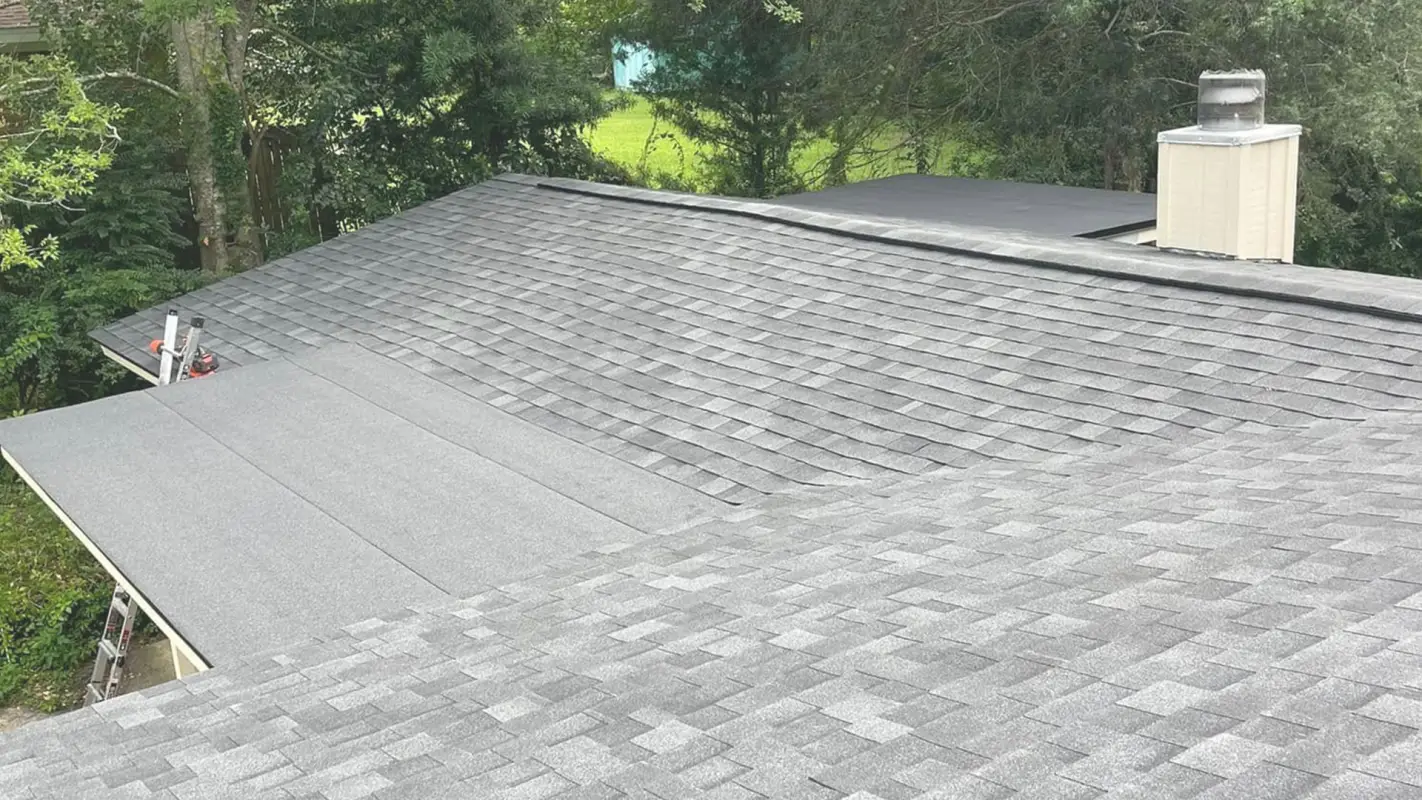 Roof Installation Services at budget-friendly rates!