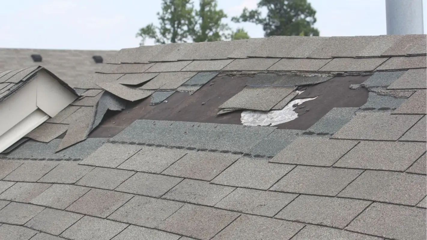 Your Professional Roofers for The Best Roof Leak Repair Services