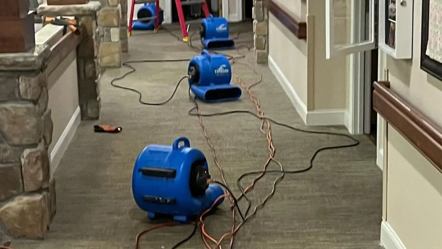 Halt your quest for a water removal company near me here!
