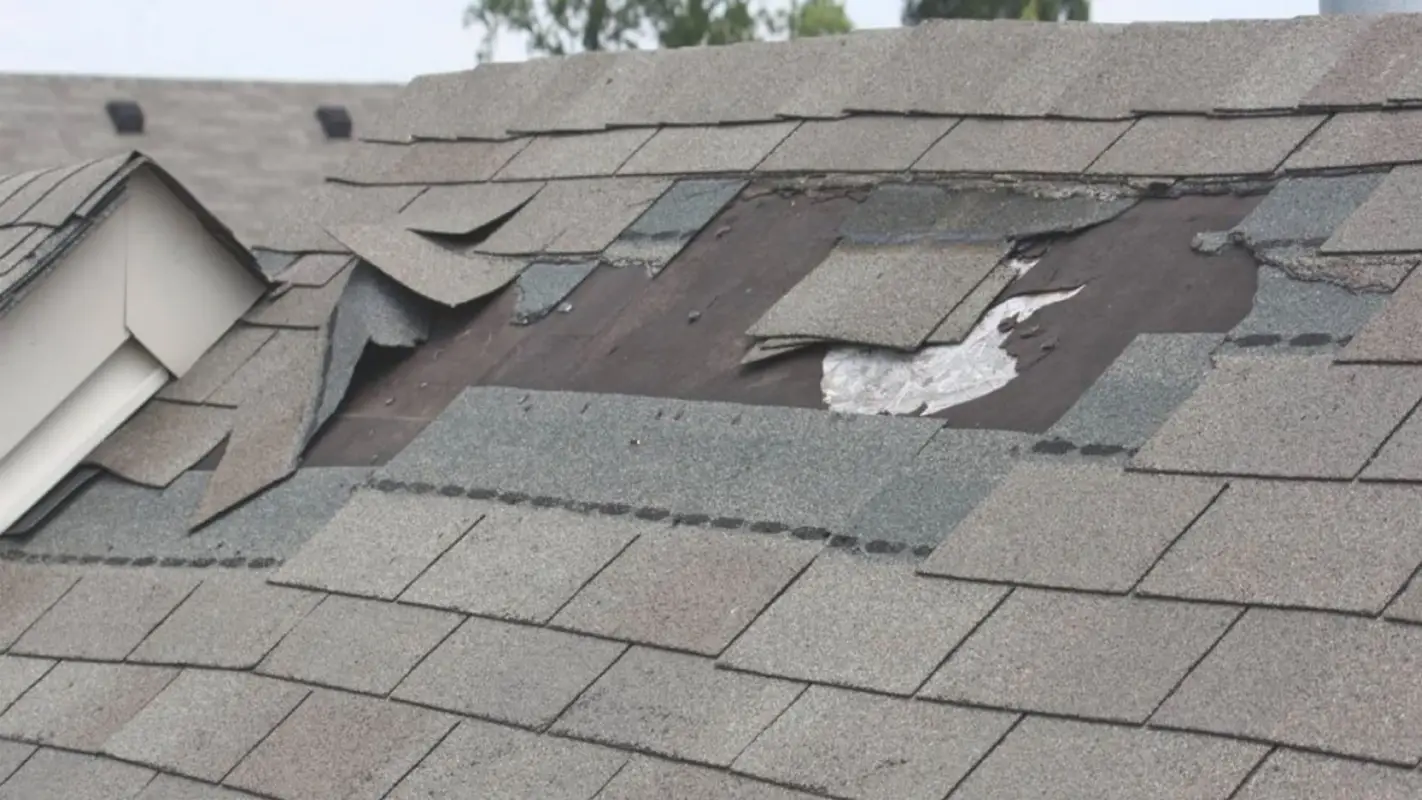 Leaky Roof Repair Services: Give Your Roof a Lift Today