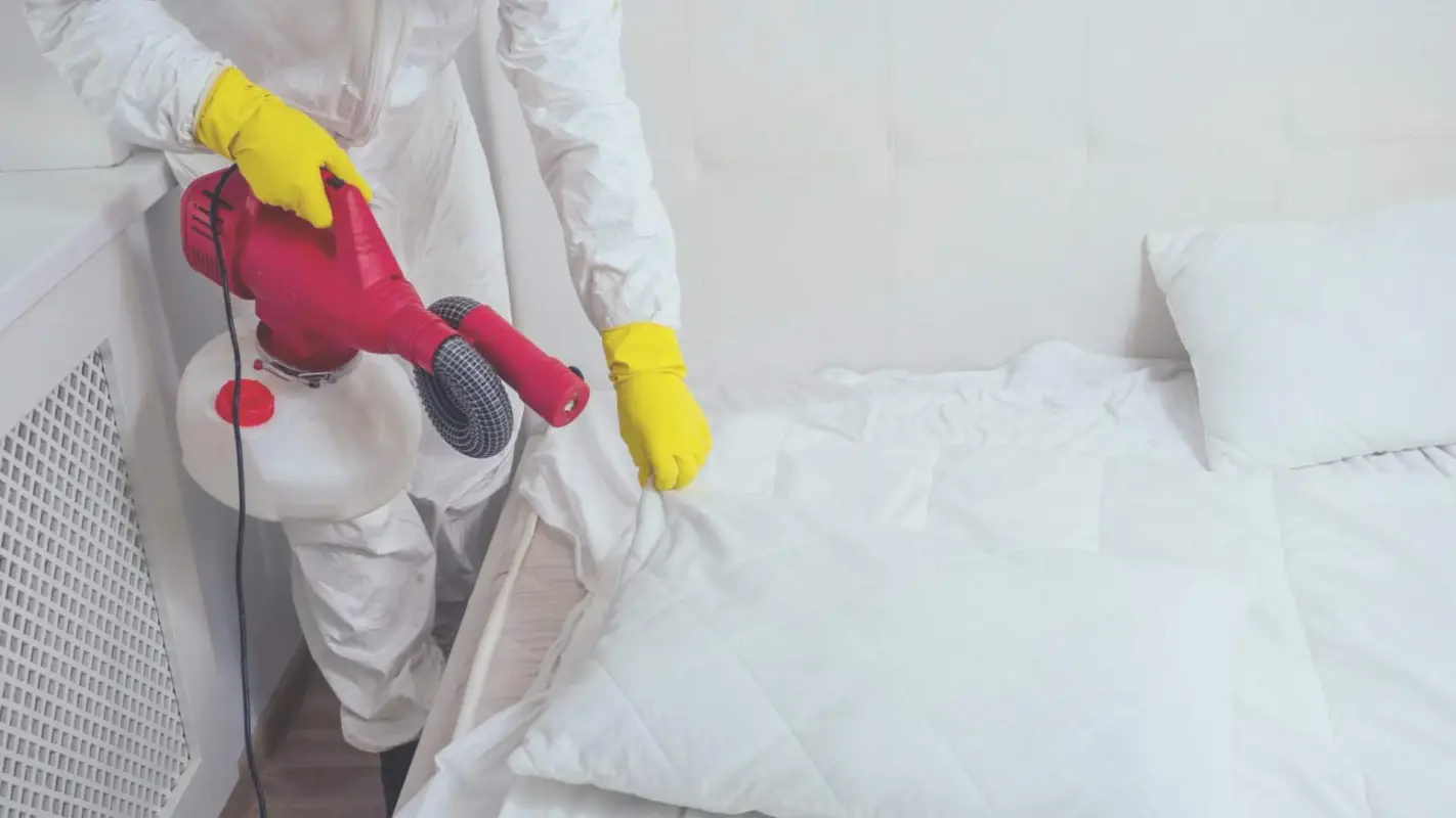 Looking for “Bed Bug Exterminator Near Me?” Call Us Now