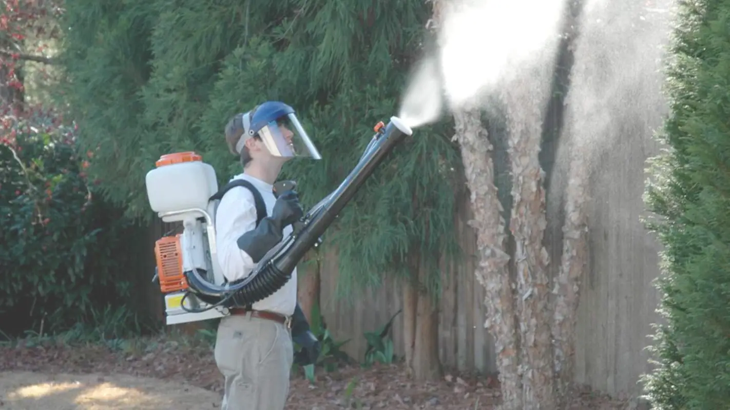 Pest Control Quarterly Services to Eliminate and Prevent Termites