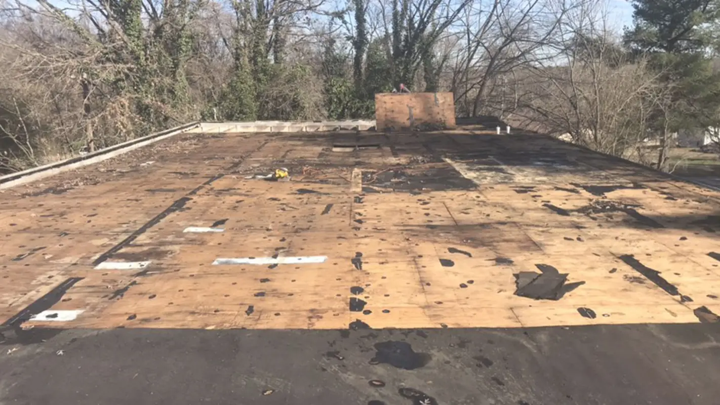 Building Trust Through Professional Roof Repair Services