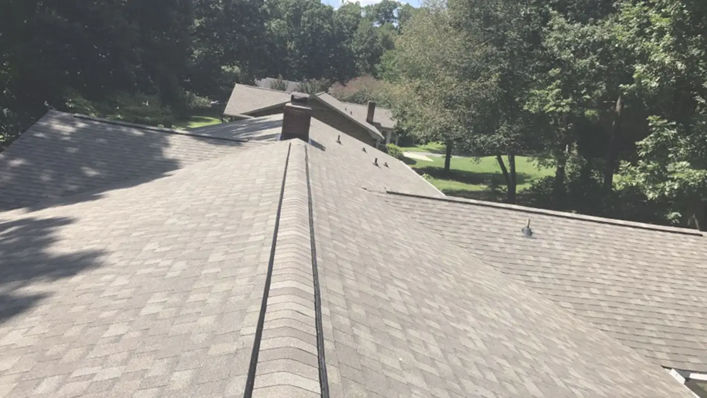 Worried about Roofing Companies Near Me?
