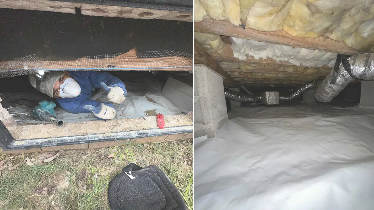 Energy-Efficient Insulation Solutions to Make Your Home Comfortable