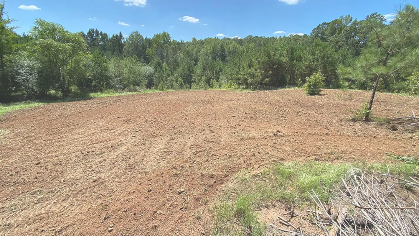 Land Clearing Services: Clearing the Way for Your Dreams