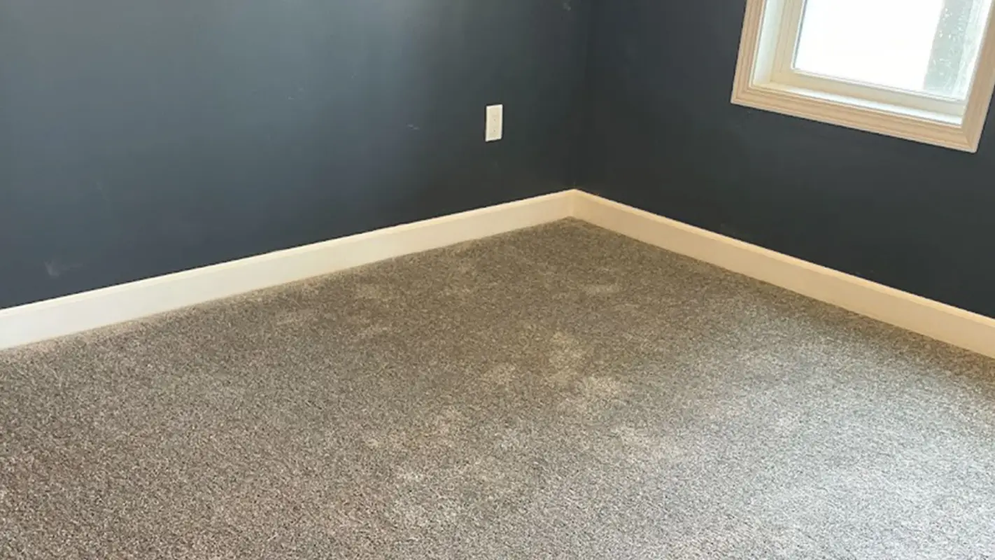 End Your Search for “Carpet Flooring Near Me”