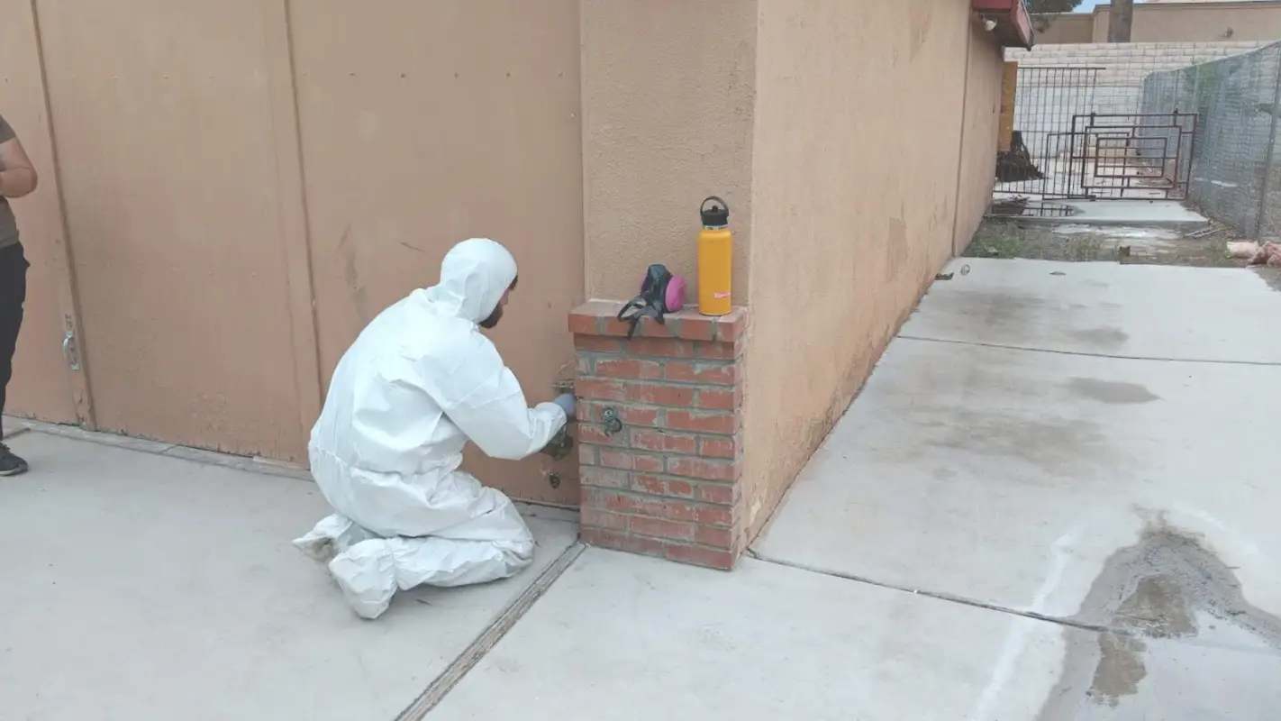 End Your Query On Mold Remediation Near Me
