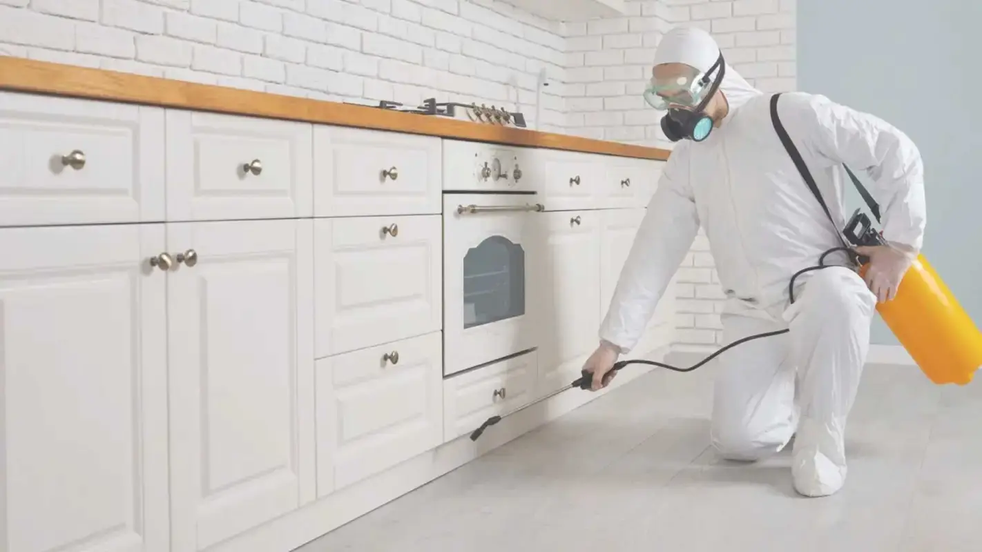 Top-Rated Pest Control Companies You Can Count On