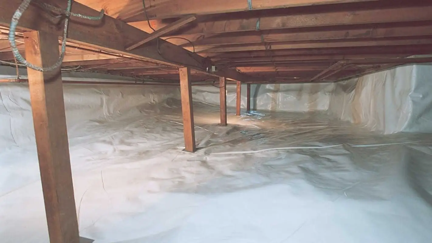 Nourish Your Well-Being Through Crawlspace Waterproofing Services