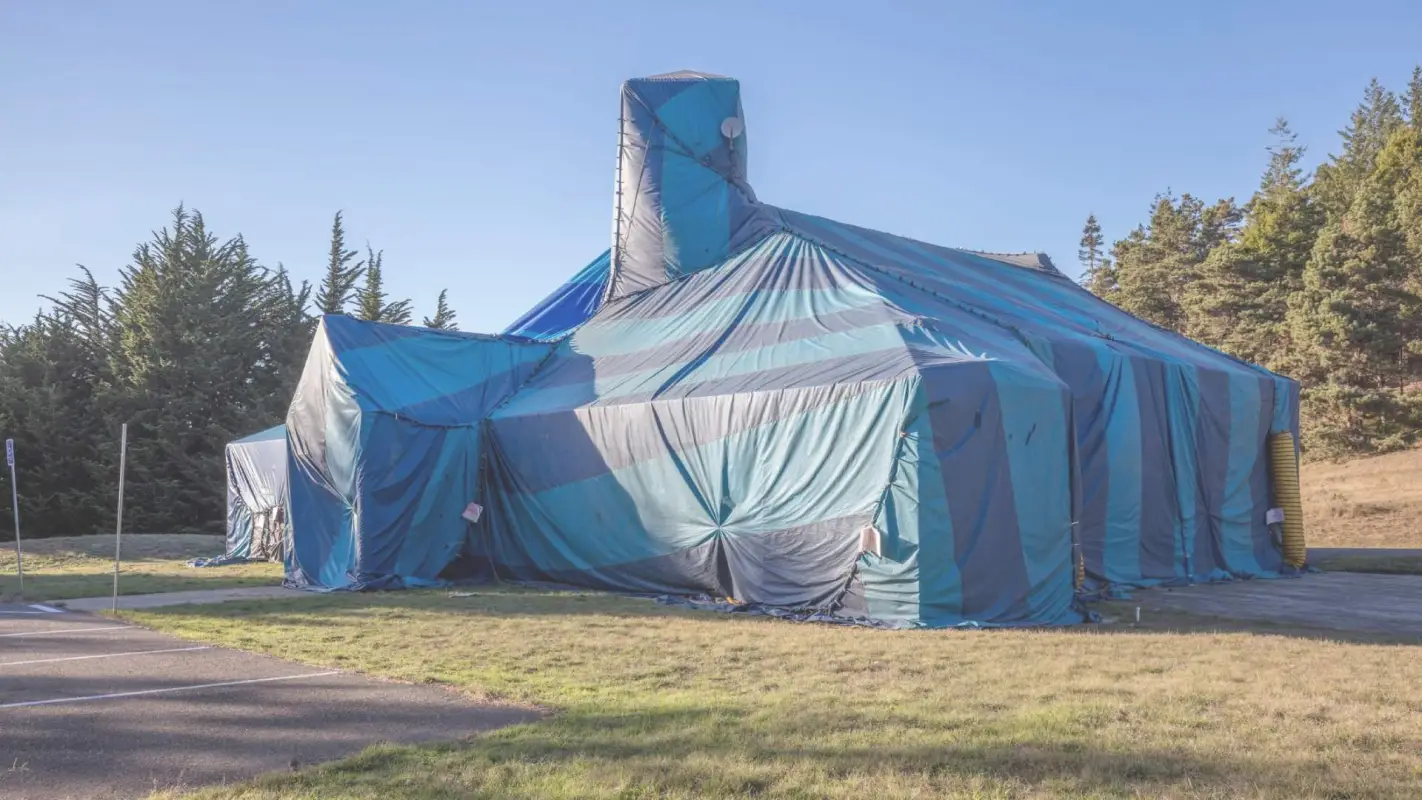 Building Trust Through Professional Termite Fumigation