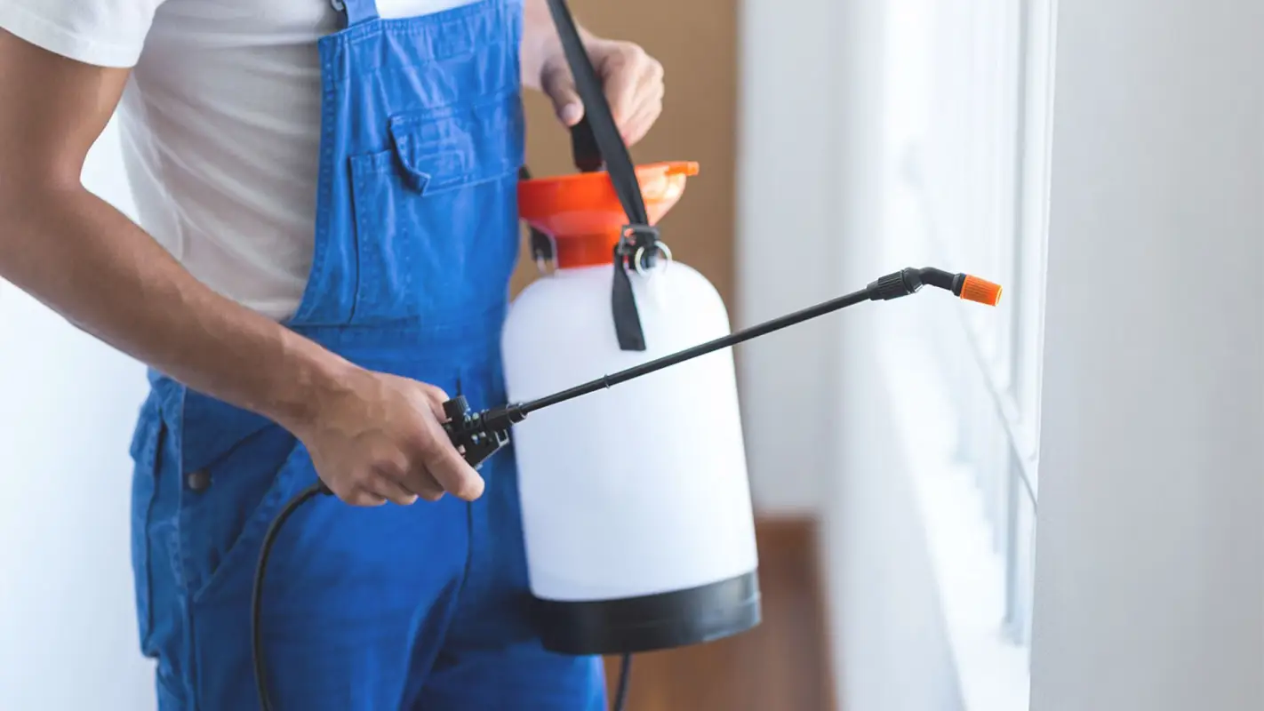 Keep Your Home Pest-Free with Expert General Pest Control