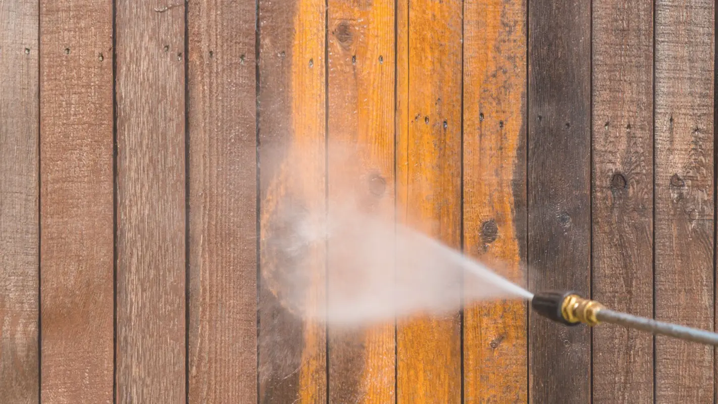 Dependable Fence and Deck Cleaning Services