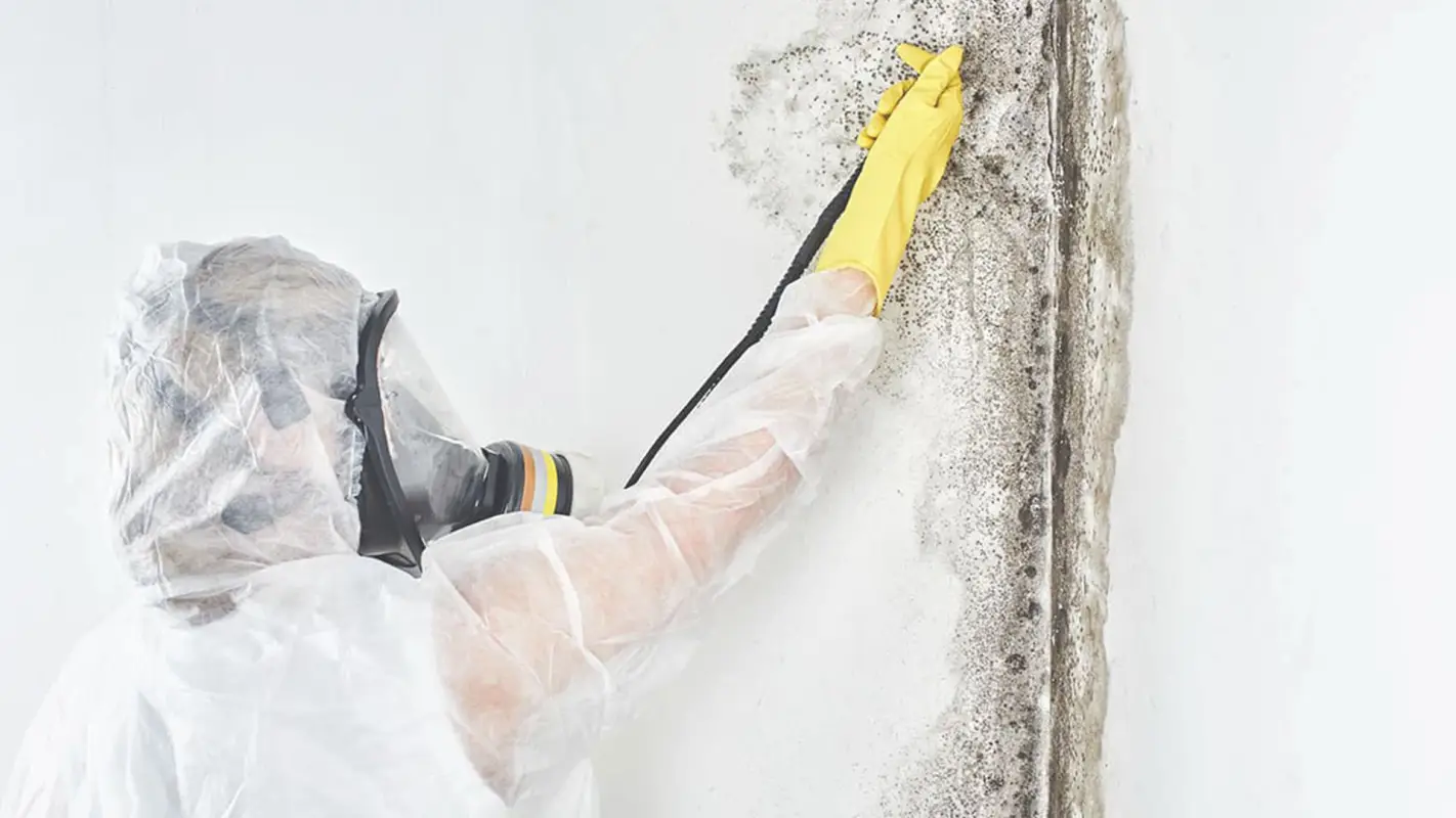 Trusted Results From The Best Mold Inspection Company