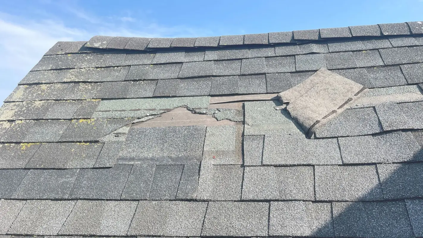Shingle Roof Repairs That Will Keep You Covered