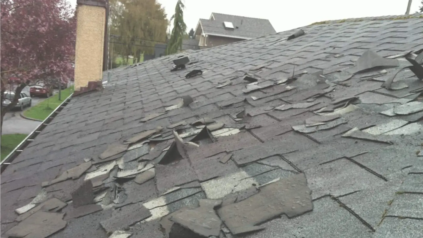 Storm damage repair services at market-competitive rates!