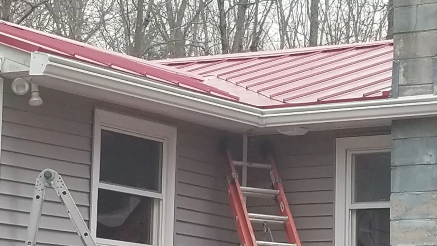 Searching For Reliable “Gutter Repair Near Me?” Hire Us