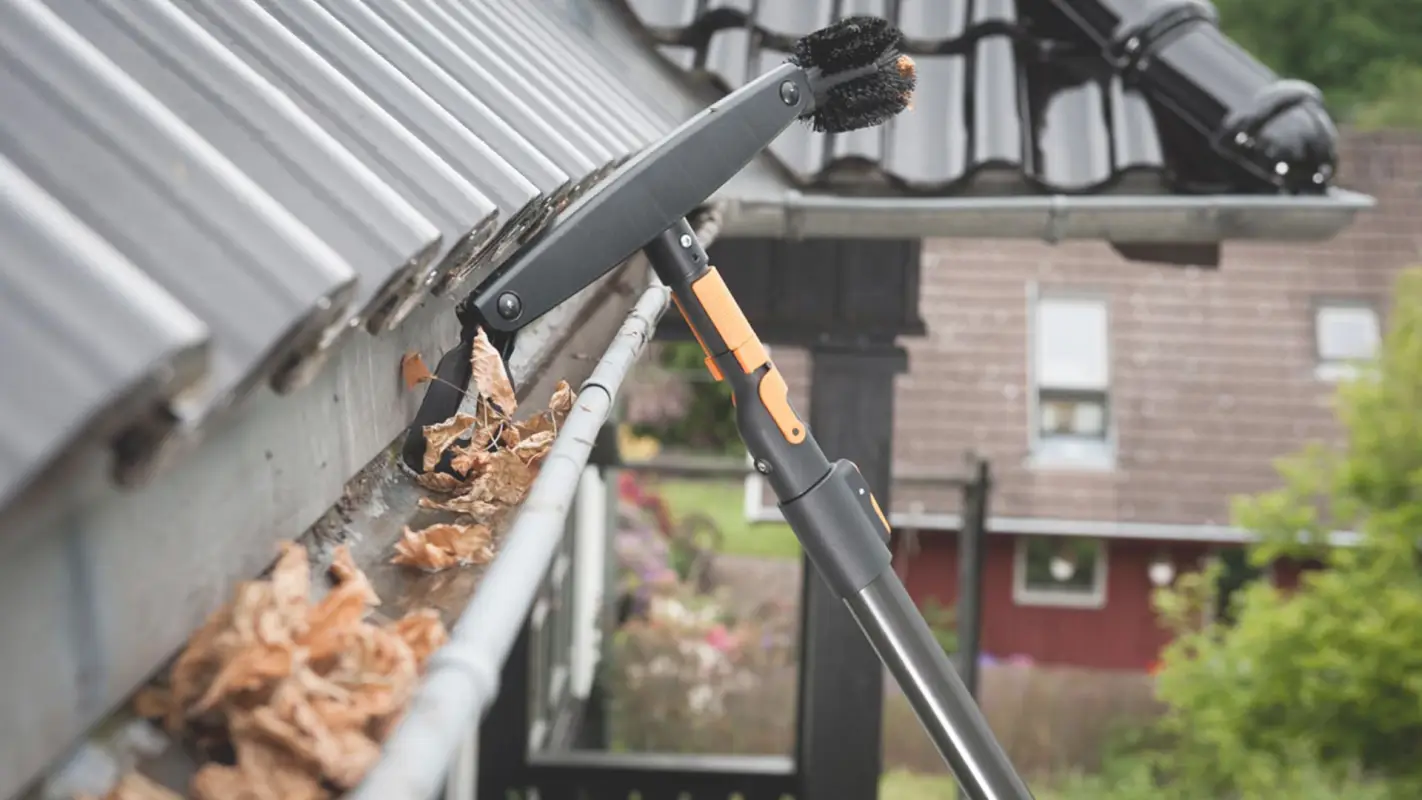 Professional Gutter Cleaning Services for All Your Needs