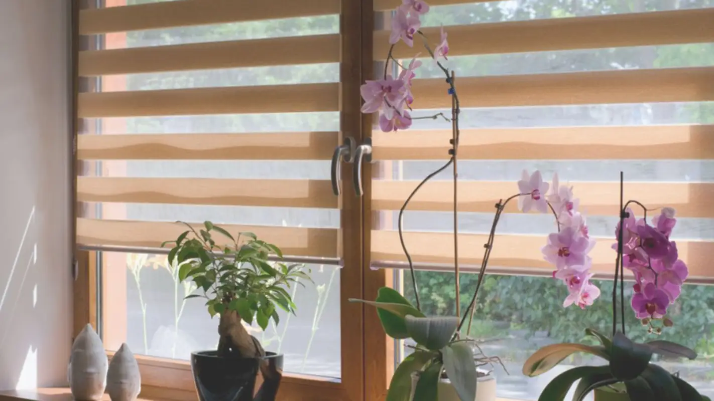 Custom Blinds Installation Near Me