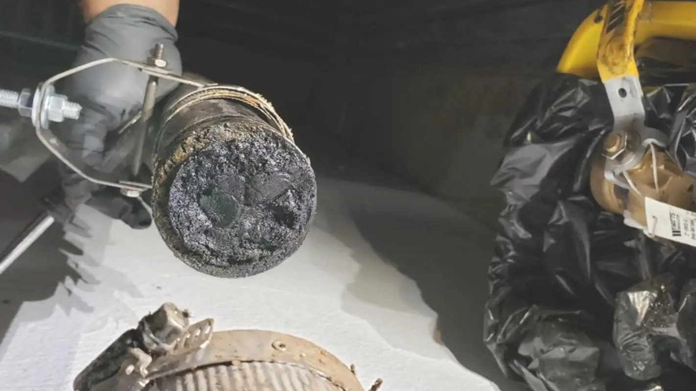 Local “Drain Repair Near Me” You Can Trust Every Time