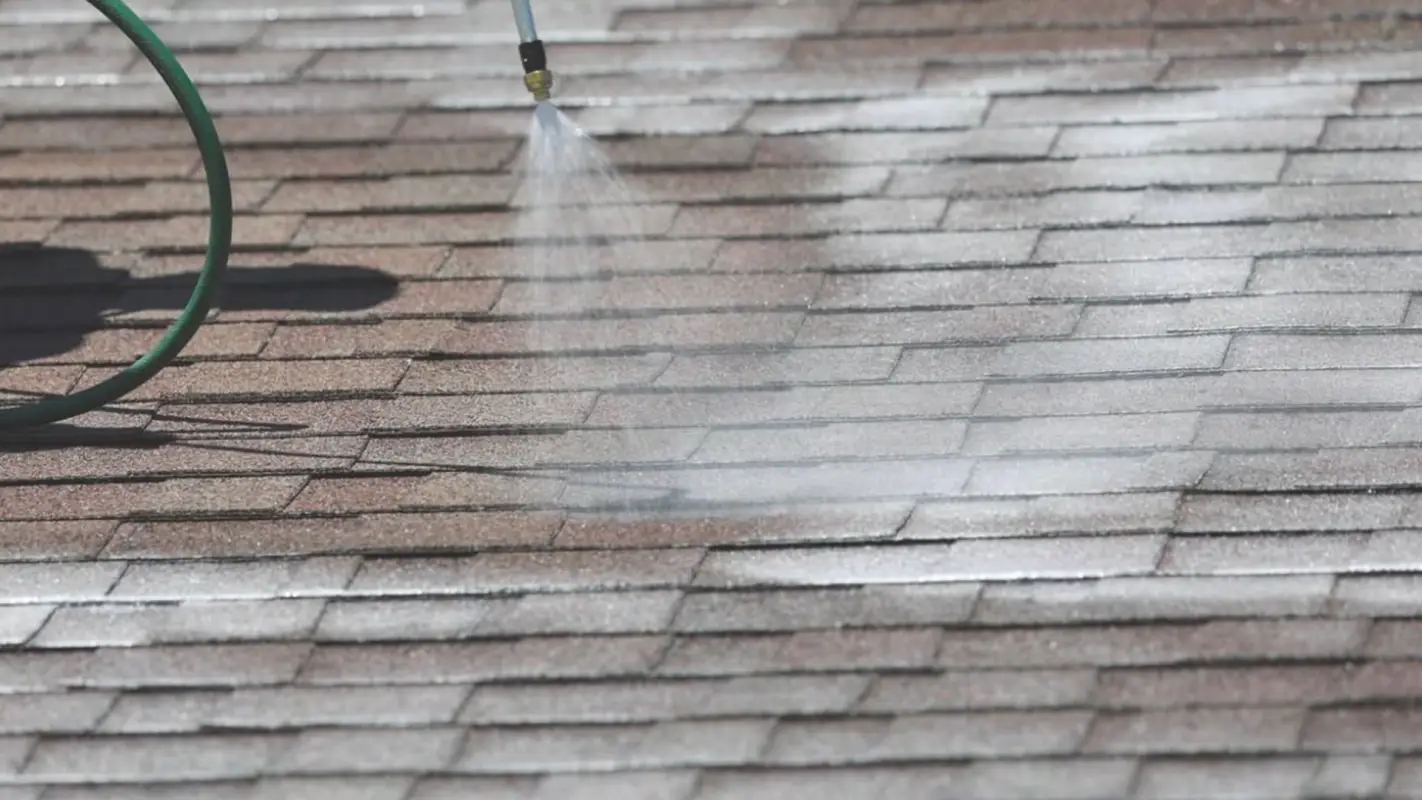 Roof Rejuvenation Services to Avoid Costly Replacements