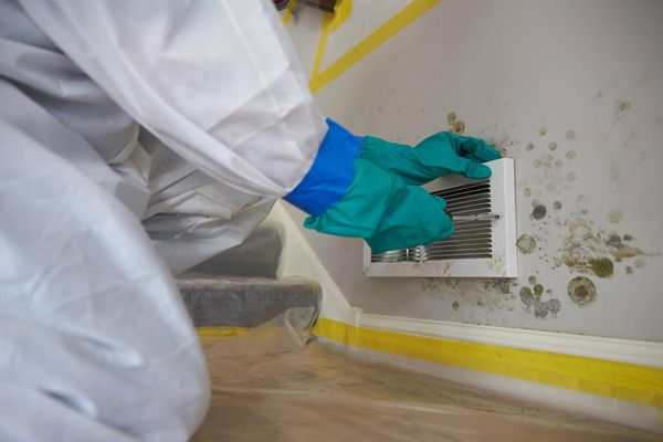 Mold Remediation