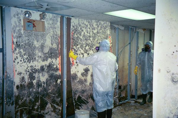 Mold Treatment