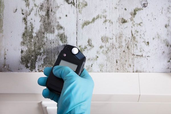 Residential Mold Testing