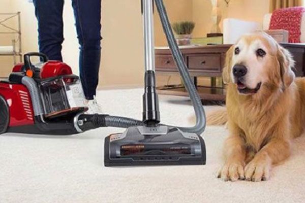 Pet Stain Remover Buford GA