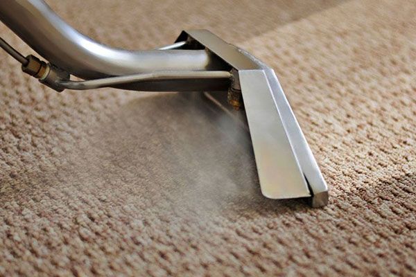 Steam Carpet Cleaning