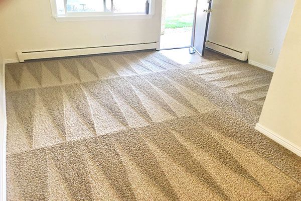 Carpet Cleaning Company