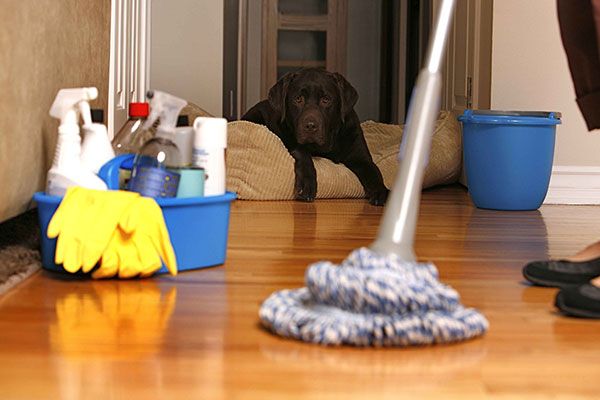 Residential Cleaning Services Lakewood WA