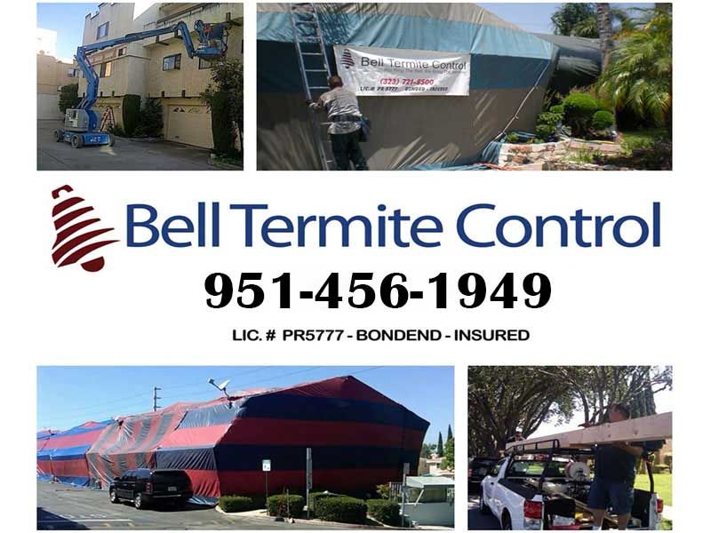 Why Bell Termite & Pest Control?
