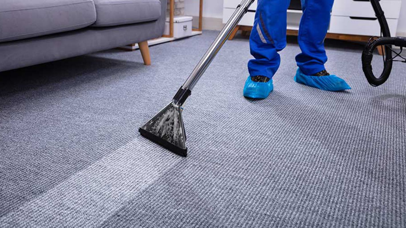 Residential Carpet Cleaning Davie FL
