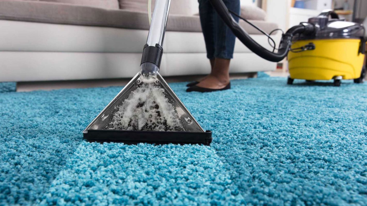 Best Carpet Cleaning Services Davie FL