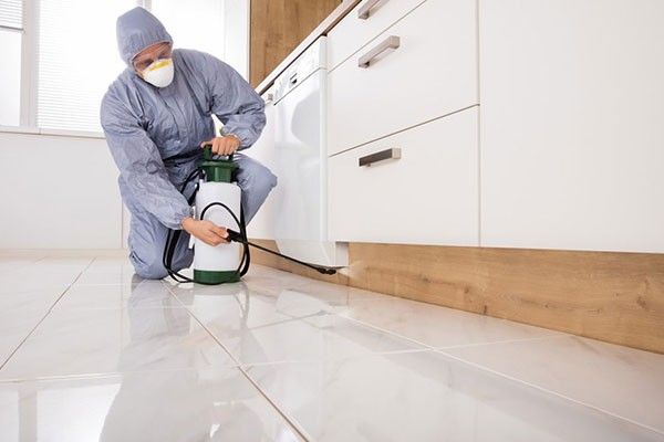 Professional Pest Control Services Chesterfield VA