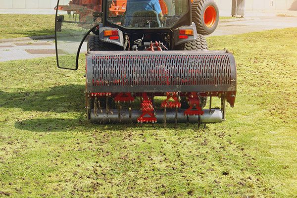 Grass Aeration