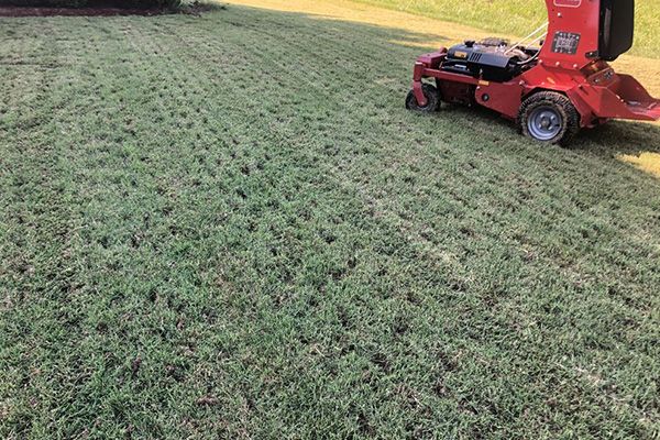 Overseeding Services