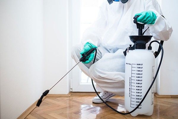 Pest Extermination Services Pleasanton TX