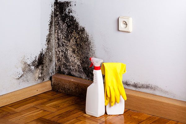 Mold Removal In Basement Schaumburg IL