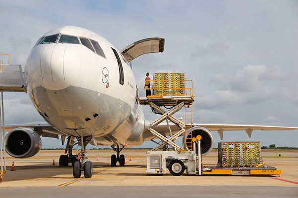 Fly Your Cargo Within the Country with Our Domestic Air Freight Services Charlotte, NC