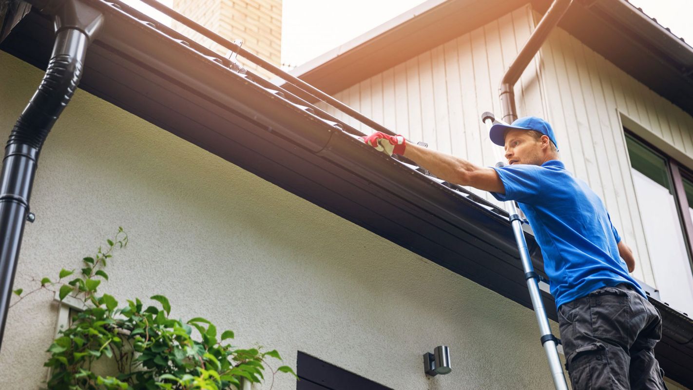 Gutter Cleaning Services Safety Harbor FL