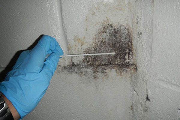 Mold Remediation Middlesex County MA