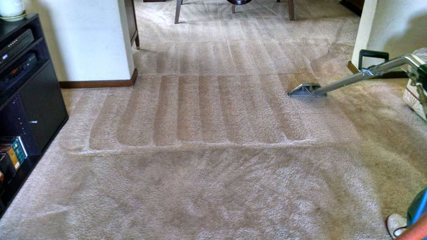Carpet Cleaning Services Union City CA