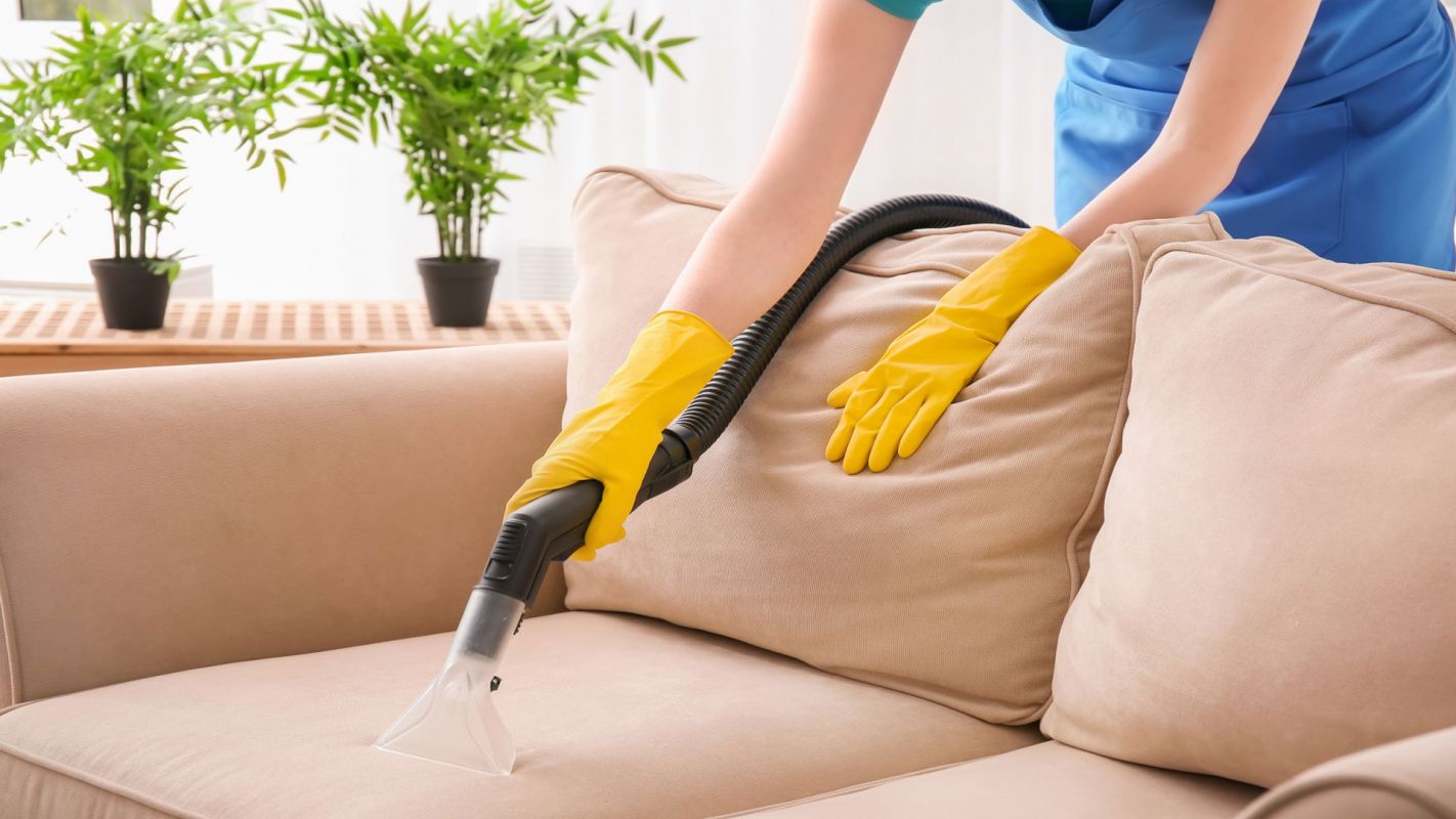 Upholstery Cleaning Services Fremont CA