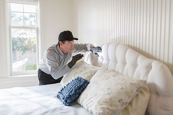 Non-Toxic Bed Bug Exterminator Pittsburg CA