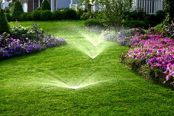 Residential Irrigation Installation Services