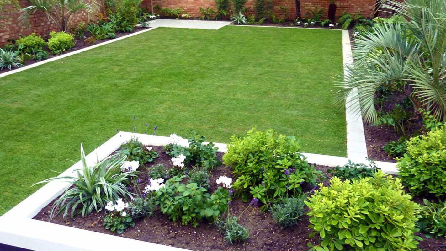 Lawn Construction Services Watertown MA