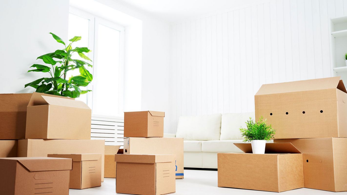 Packing And Unpacking Services Denver CO