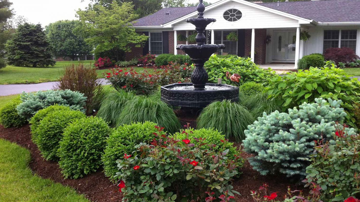 Residential Landscaping Services Las Vegas NV